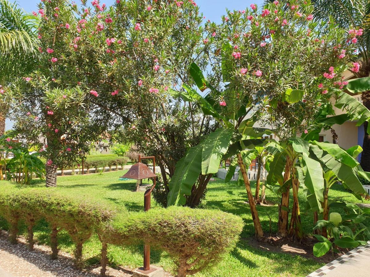 Djeliba Resort セレクンダ エクステリア 写真